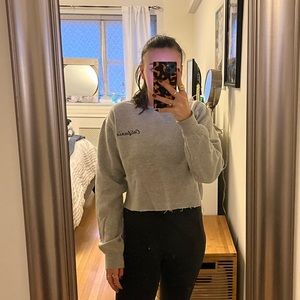 Cropped Gray Sweatshirt